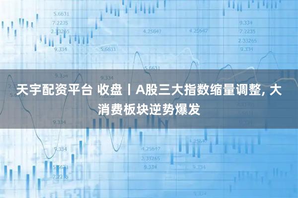 天宇配资平台 收盘丨A股三大指数缩量调整, 大消费板块逆势爆发