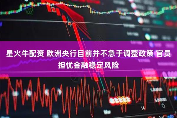 星火牛配资 欧洲央行目前并不急于调整政策 官员担忧金融稳定风险