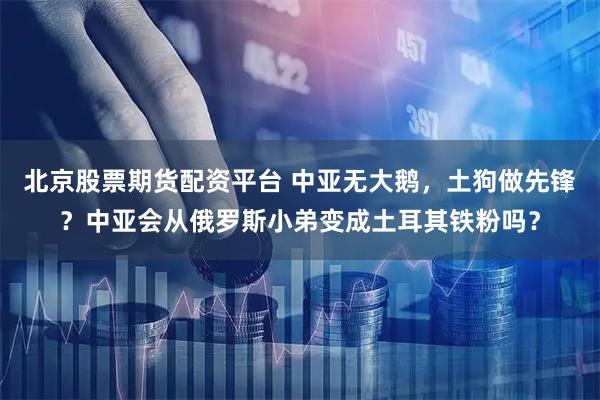 北京股票期货配资平台 中亚无大鹅，土狗做先锋？中亚会从俄罗斯小弟变成土耳其铁粉吗？