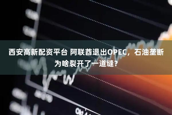 西安高新配资平台 阿联酋退出OPEC，石油垄断为啥裂开了一道缝？